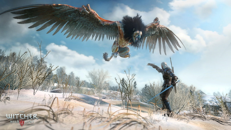 fight, 1080P, Pathfinder, Art, The Witcher, Griffin, The Wild Hunt, sword, winter, blow, The Witcher 3: Wild Hunt, CD Projekt RED, armor