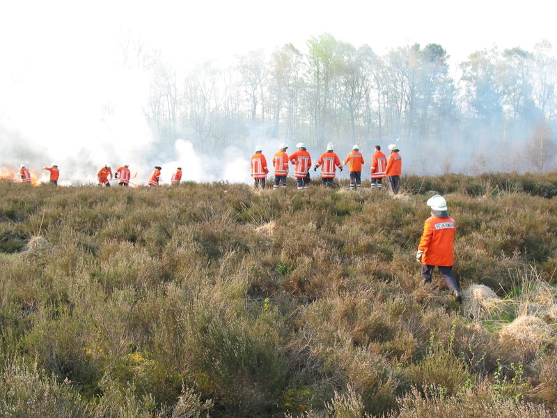 group of people, crowd, nature, red, smoke - physical structure, land, adults only, people, rear view, day, plant, fire fighting attack, men, field, large group of people