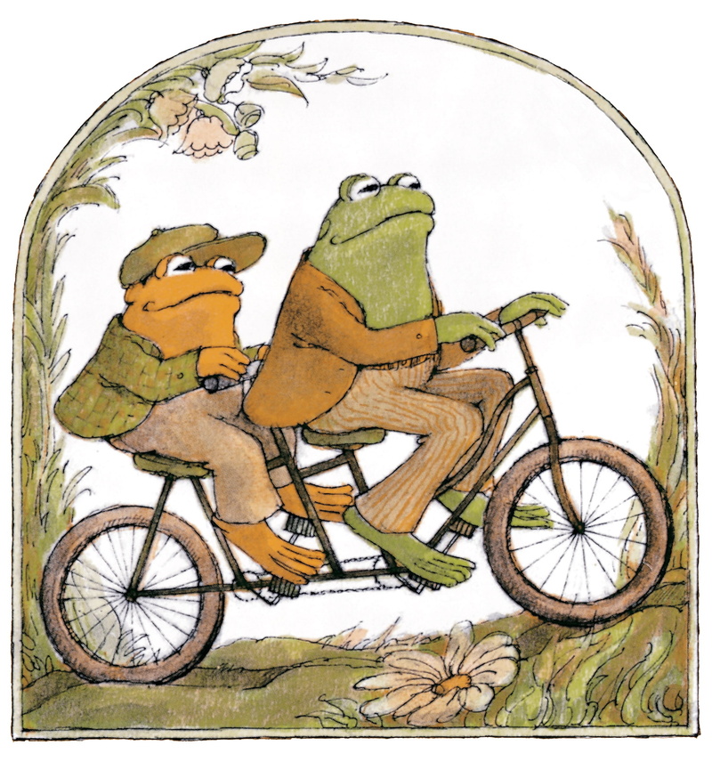 frogtoad, animals, frogs, find, 1080P, s, hd, anywhere, amp, frog, art, toad, x