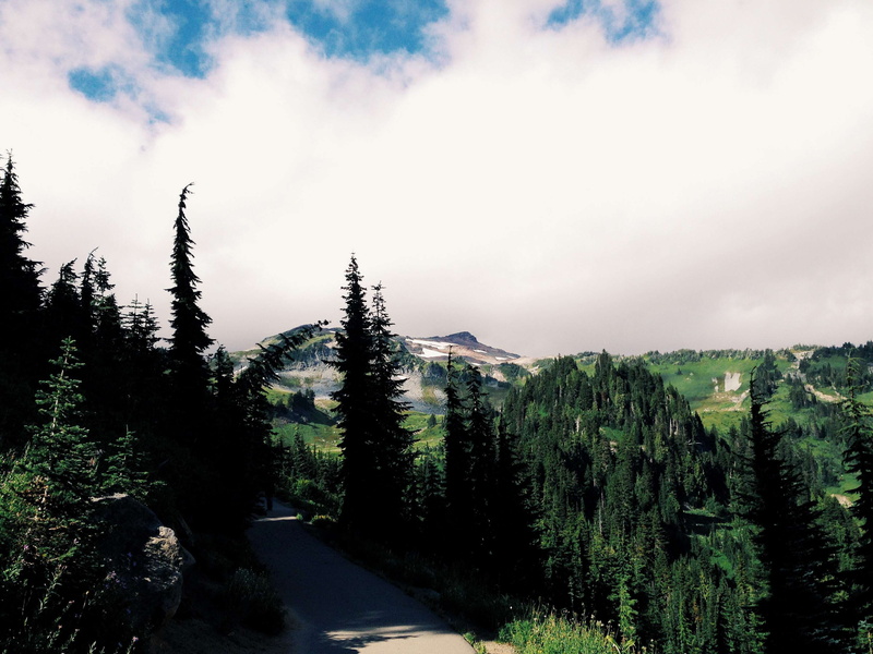 open, pine, transportation, open sky, cloud, outdoors, path, view, tree, pine trees, tranquility, forest, non-urban scene, trail, mountain, coniferous tree