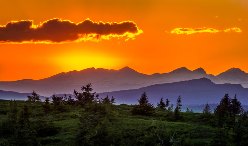 silhouette, mountain range, tranquil scene, sun, land, horizon, yellow, travel destinations, 5K, pine tree, dark, scenics, sunset, cloud - sky, background