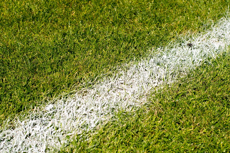 high angle view, sunlight, turf, backgrounds, germany, green color, nature, plant, play, field, world championship, football pitch, line, tranquility, 2018