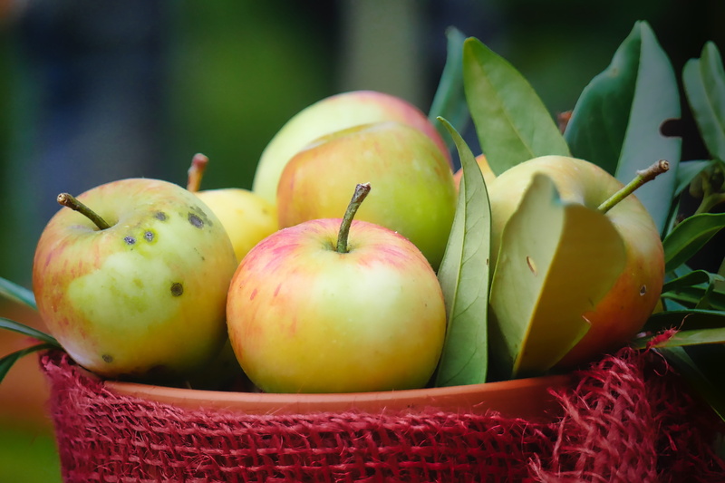 group of objects, apple, harvest, nutrition, autumn, green color, container, wellbeing, apfelernte, food and drink, plant part, red, bio, no people, delicious