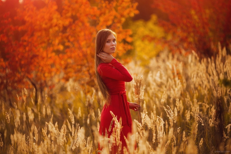 720P, sleeve, red dress, blonde, red, field, women, dress, long, s
