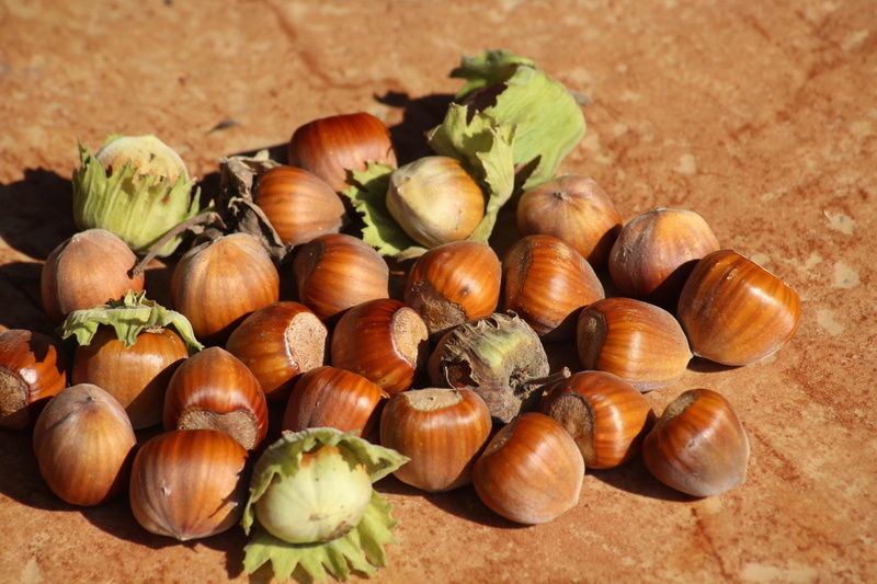 food and drink, freshness, abundance, indoors, hazelnuts, chestnut - food, no people, food, wellbeing, 5K, fruit, hazel, close-up, healthy eating, ingredient