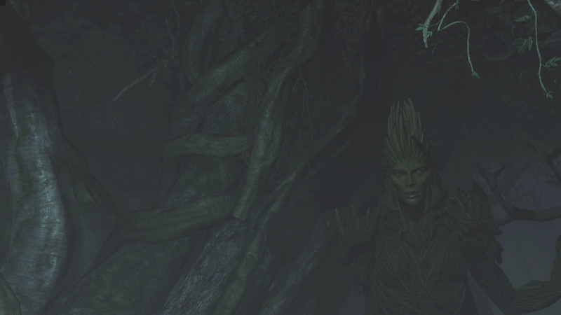 growth, Shadow of War, full frame, Middle-Earth: Shadow of War, Middle-earth, tree trunk, leaves, textured, day, plant part, trunk, nature, plant, tranquility