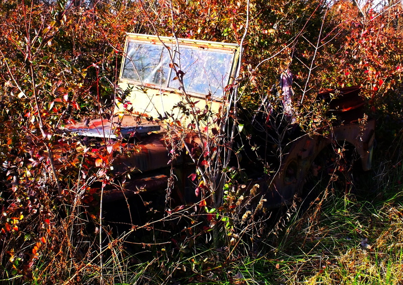 outdoors, field, scrap, land, forgotten, grunge, aged, messy, grass, used, Weeds, army, classic, high angle view, day, damaged, military, antique, Vehicle
