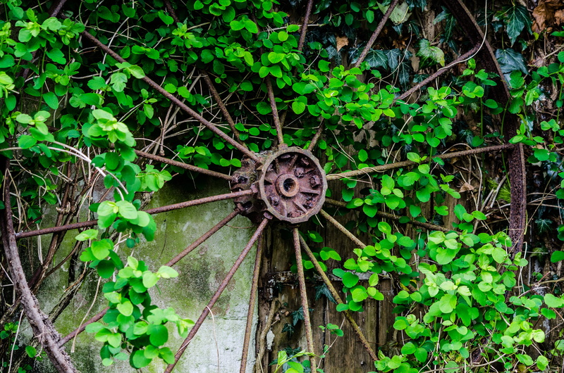 day, woodland, Old, tree, Leaf, land, abandoned, wood - material, wall, decoration, beauty in nature, antique, Rust, brown, Metal, old-fashioned, retro