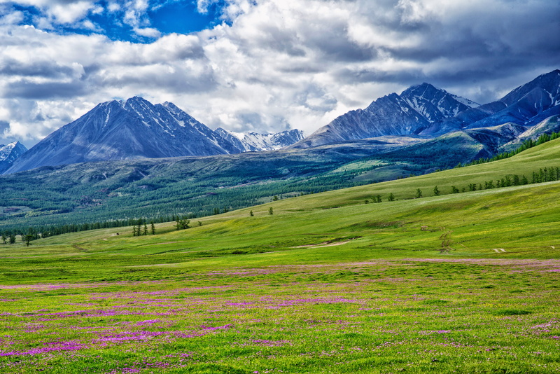 nature, fax the northwest part, near, Landscape, 5K, mountain range, sky, hour, meadow, green color, environment, mountain peak, scenics, field, snow
