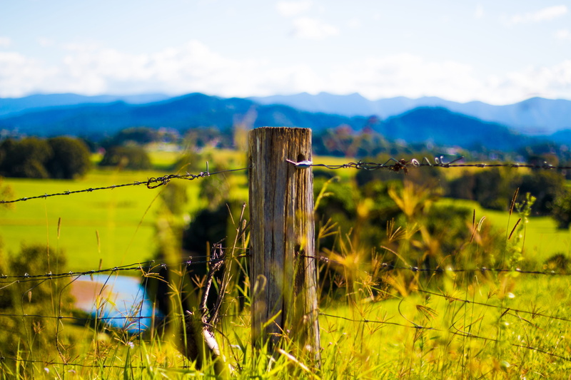 no people, wooden, grass, farm, street, road, brown, wood - material, wires, mountain, boundary, fence, focus, post, barb, wooden post, pole, field, wire