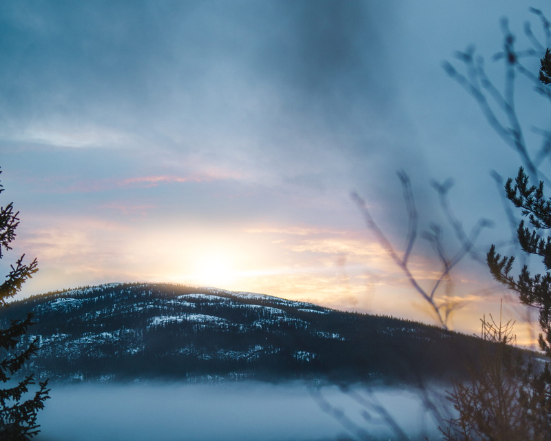 cold temperature, tree, environment, light, beauty in nature, plant, nature, 4K, scenics - nature, blue, mountain range, pink, scenery, sky, flare, silhouette