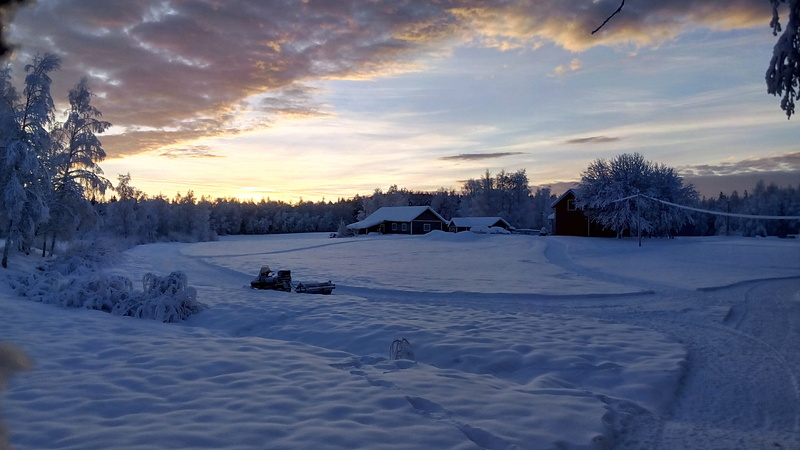 snow, trees, land, dawn, winter, 4K, tree, cold, house, outdoors, field, scenic, photography, light, environment, beauty in nature, snow landscape, nature