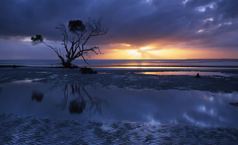 bosy, South East, sea, sunset, blue  light, 480P, Landscape, sky, Australia, Sunrise, mangrove  tree, Qld, seascape, brown, nature, beach, reflection