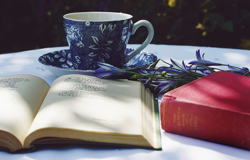 closed, tea, no people, food and drink, 5K, teacup, table, beside, mug, publication, poetry, ceramic, flowers, indoors, book, round, opened, red, cup