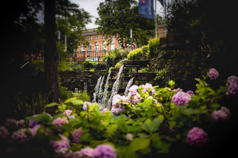 plant, no people, fountains, building exterior, architecture, focus on background, shift, park, city, built structure, building, ambient, growth, relaxing