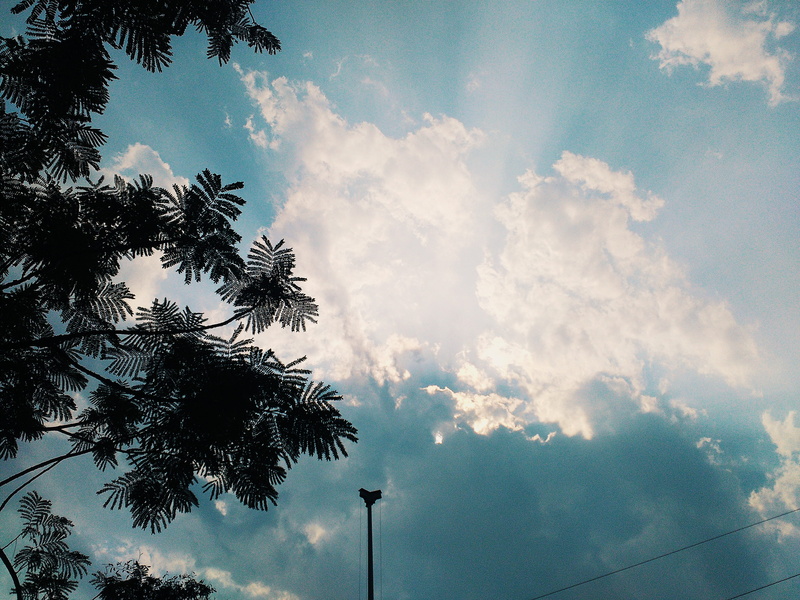 cloud - sky, peeking, branch, sky, clouds, day, tree, nature, picture, beauty in nature, ambient, scenics - nature, tropical climate, plant, awesome, 2K