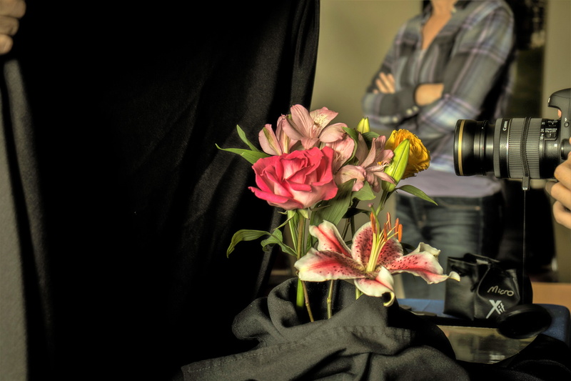 real people, plant, fragility, close-up, men, flower head, photographer, lighting, occupation, midsection, nature, optics, photo class, camera, flower