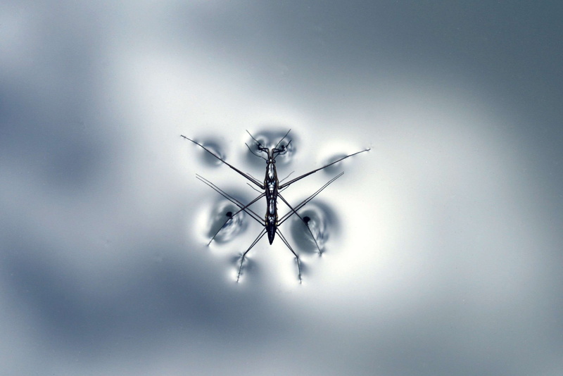 close-up, studio shot, water, indoors, arts culture and entertainment, reflection, purity, technology, futuristic, nature, built structure, lighting equipment