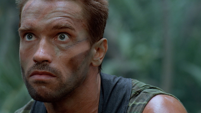 cinema, movie, face, Predator, strong, 1080P, Arnold Schwarzenegger, man, soldier, muscular, Dutch, The Beast, Alan Schaeffer, film, jungle, Alan " Dutch" Schaefer