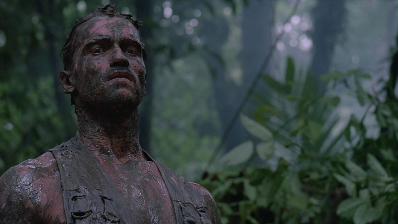 clay, mud, jungle, Dutch, movie, Arnold Schwarzenegger, face, camouflage, film, cinema, konoha, soldier, 1080P, Alan " Dutch" Schaefer, leaf, Arnold Alois Schwarzenegger
