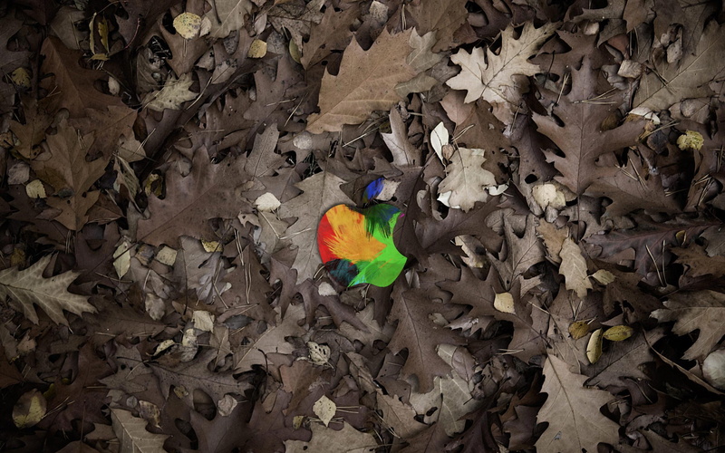 leaves, 2K, brand, technology, grey, apple, logo