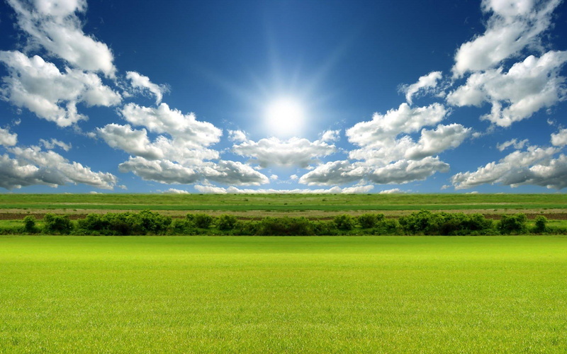 day, nature and landscape, bright, 1080P, light