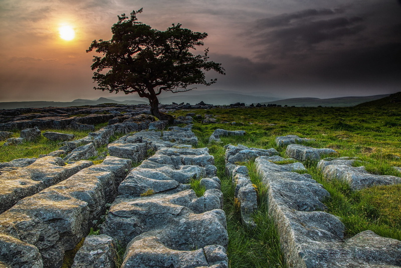 solid, beauty in nature, Yorkshire Dales, idyllic, stones, England, no people, tranquil scene, growth, nature, sun, sunset, environment, landscape, scenics - nature