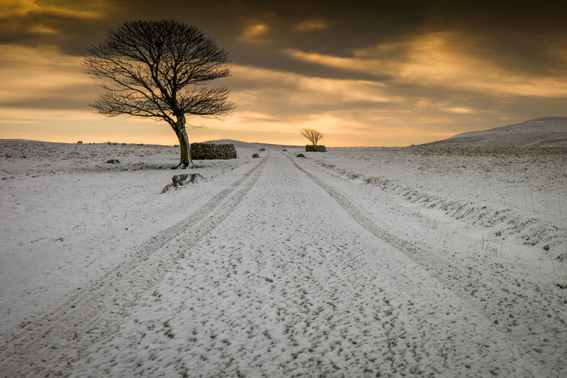 path, landscape, snowy road, wrong, jones, winter, sky, nature, samsung, snowy, dry, photo, outdoors, road, 5K, tree, yorkshire  dales, sand, sand Dune