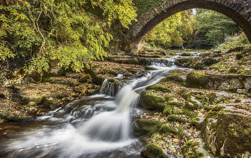 5K, untitled, dales, forest, tree, beauty In Nature, river, freshness, water, stream, waterfall, yorkshire, outdoors, rock - Object, tropical Rainforest