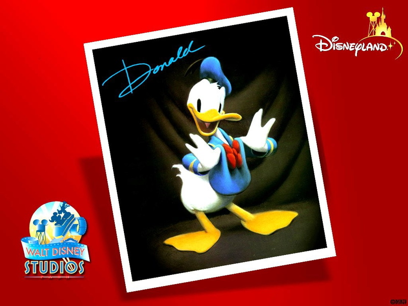art, classic, 480P, hd, Disneyland, Donald Duck, entertainment, animation, disney