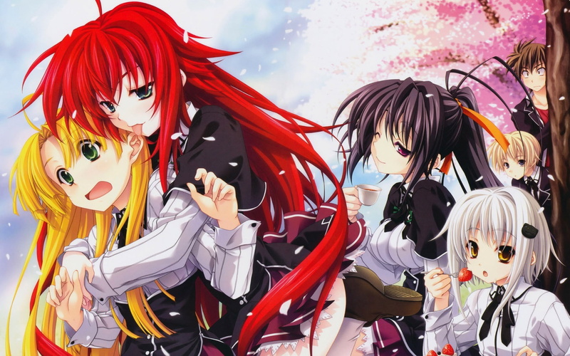 festival, costume, Gremory Rias, arts culture and entertainment, celebration, anime, event, female, people, Himejima Akeno, lifestyles, anime girls