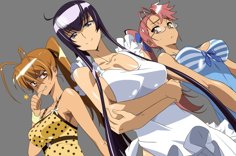 lifestyles, Saeko Busujima, looking, communication, young adult, emotion, Highschool Of The Dead, creativity, Rei Miyamoto, disguise, mammal, outdoors