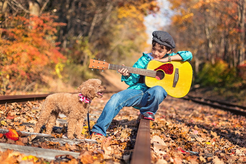 music, people, boy, dreadnought, land, tree, togetherness, playful, yellow, females, nature, poodle, road, young Adult, boys, 1080P, joy, beautiful, males