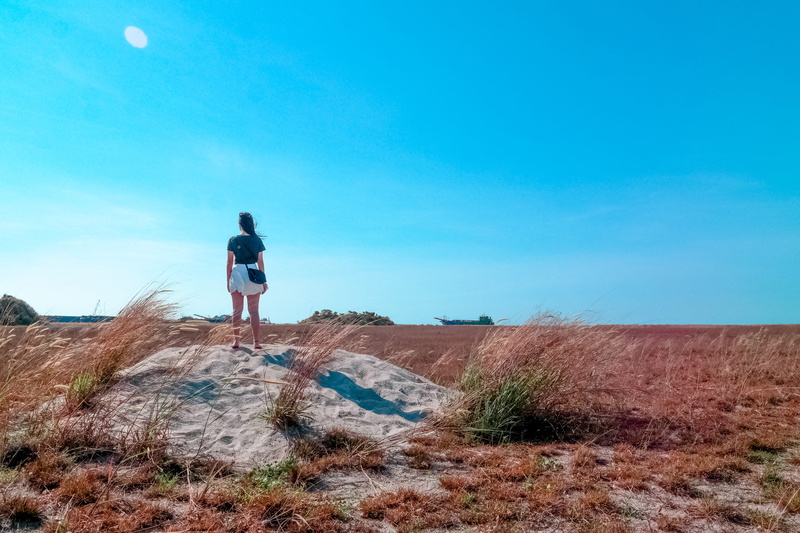adventure, desert, beside, real people, sky, female, standing, woman, fields, 5K, casual clothing, plant, explore, windy, farm, outdoors, land, day, environment