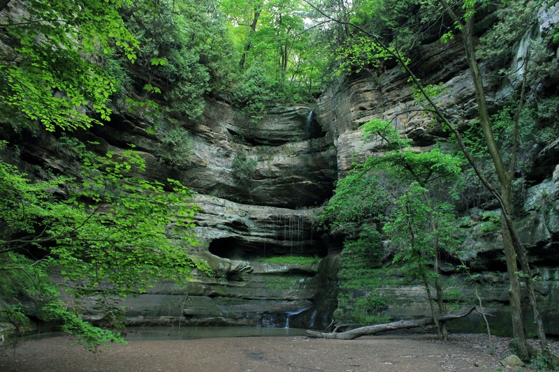 landscape, idyllic, 1080P, waterfall, tree, scenery, starved rock state park, forest, rock, rock - object, illinois, flowing, rainforest, flowing water