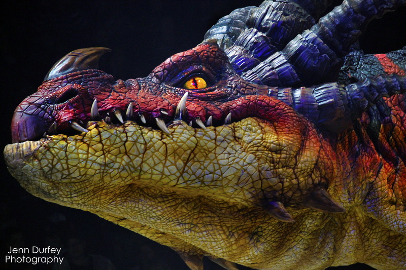 dragon, colorful, blue dragon, Mechanical, reptile, red, dinosaur, red and blue, brown, photo, blue, 1080P, animal