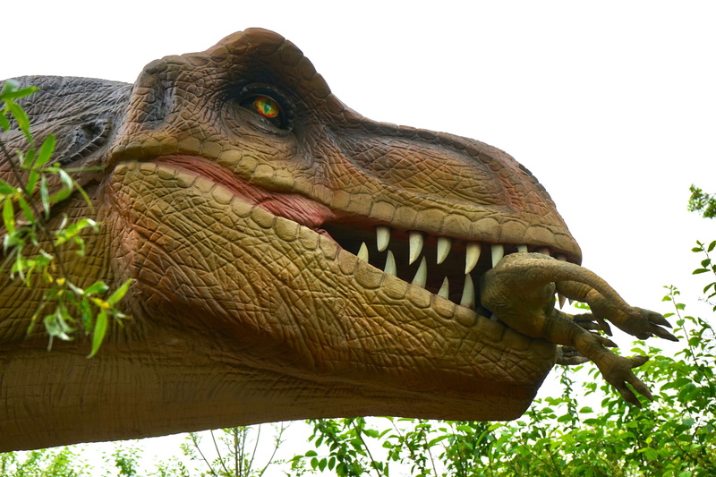sky, teeth, carnivore, leaves, prehistoric, focus on foreground, animals in the wild, low angle view, animal body part, iguana, outdoors, dangerous, dinosaur