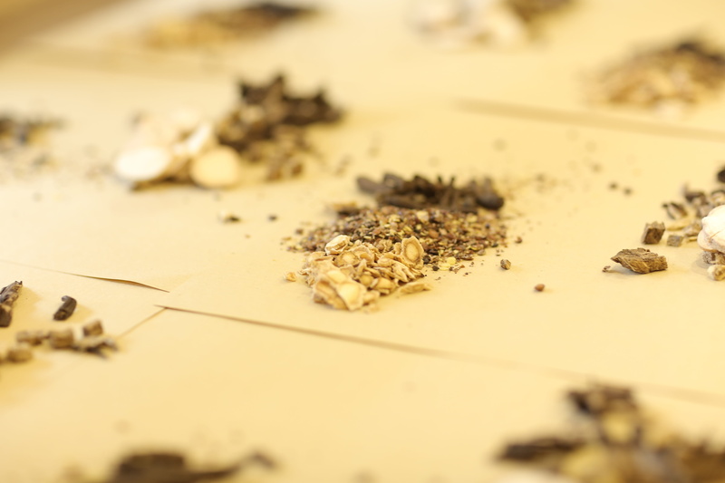 insect, no people, food, animals in the wild, table, treatment, chinese medicine, indoors, animal, traditional chinese, close-up, spice, 5K, large group of animals