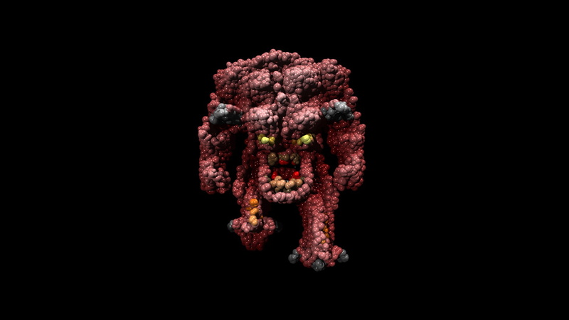 animal wildlife, close-up, animal themes, underwater, food and drink, Doom (game), sea, water, studio shot, animal, one animal, nature, cut out, marine