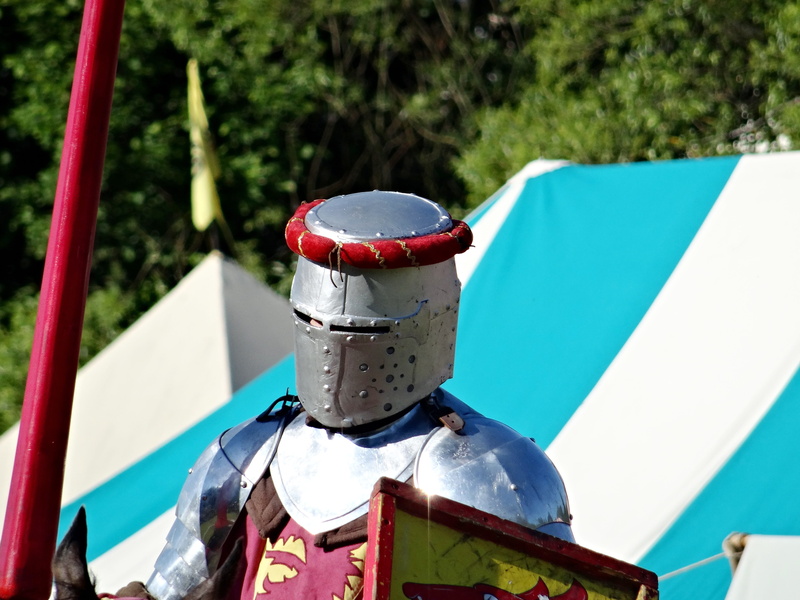blue, focus on foreground, close-up, tree, fight, sunlight, Helm, no people, day, plant, head, metal, spectacle, mode of transportation, transportation