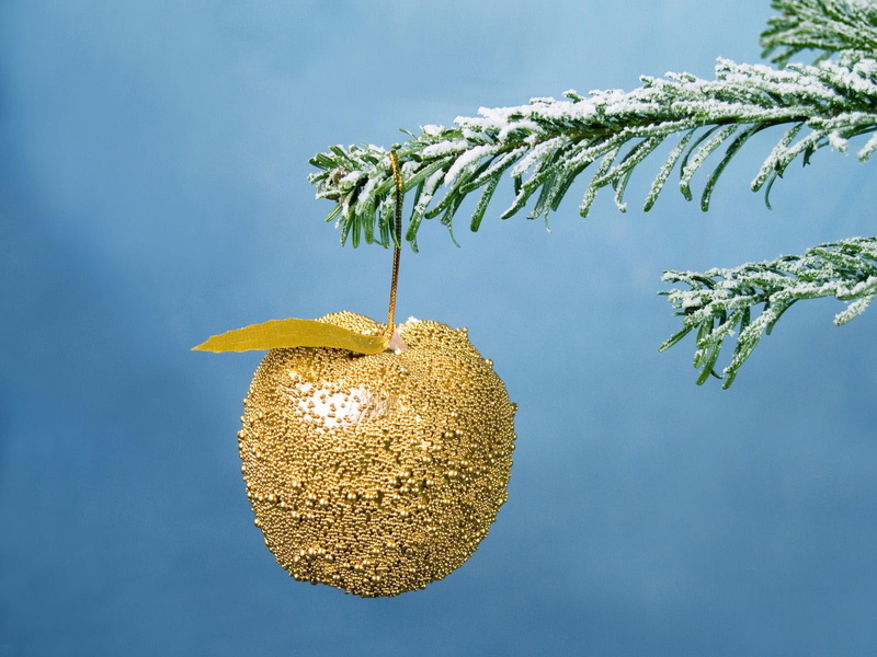 branch, christmas, year, fur-tree, tree, new year, fur, ornament, apple, gold, new, 720P, snow