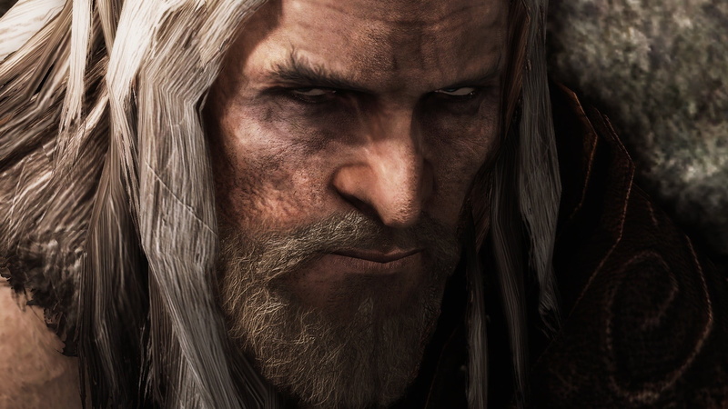 facial hair, one person, mature men, men, close-up, man, human face, old people, social issues, The Elder Scrolls V: Skyrim, lifestyles, graphic, beard