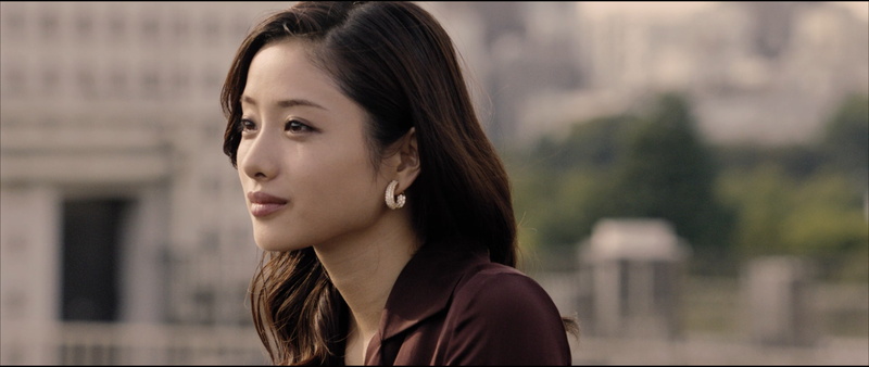 beauty, side view, celebrity, 2K, headshot, looking, focus on foreground, serious, body part, brown hair, beautiful woman, Asian, Satomi Ishihara, adult