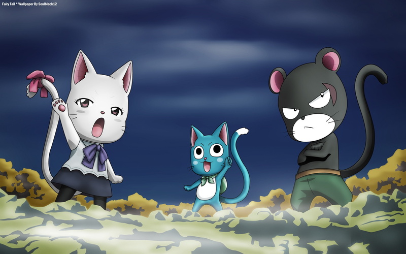 cats, hd, fairy, art, tails, happy, x, anime, dragneel, 2K, tail