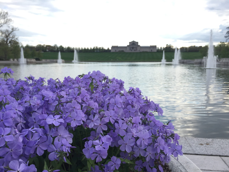 nature, Flower, Garden, vulnerability, reflection, fragility, Purple, freshness, flowering plant, close-up, 2K, no people, growth, emerson grand basin