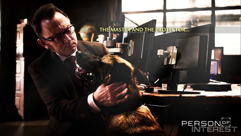 TV Show, Person Of Interest, 720P, Michael Emerson