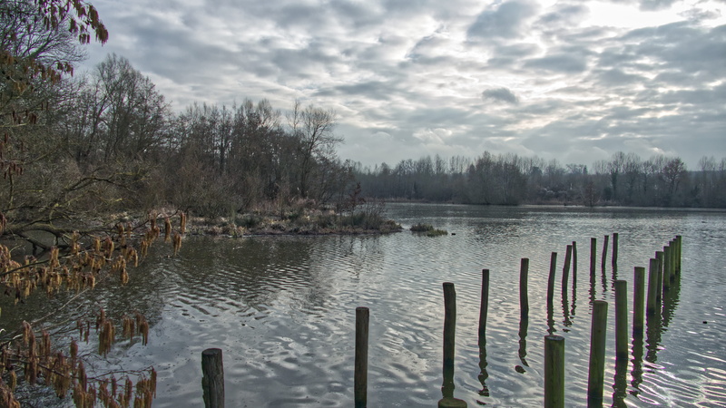 dock, cloud - sky, wood - material, tranquility, banister, outdoors, saint-thibault-des-vignes, port, beauty in nature, non-urban scene, tree, nature, canal