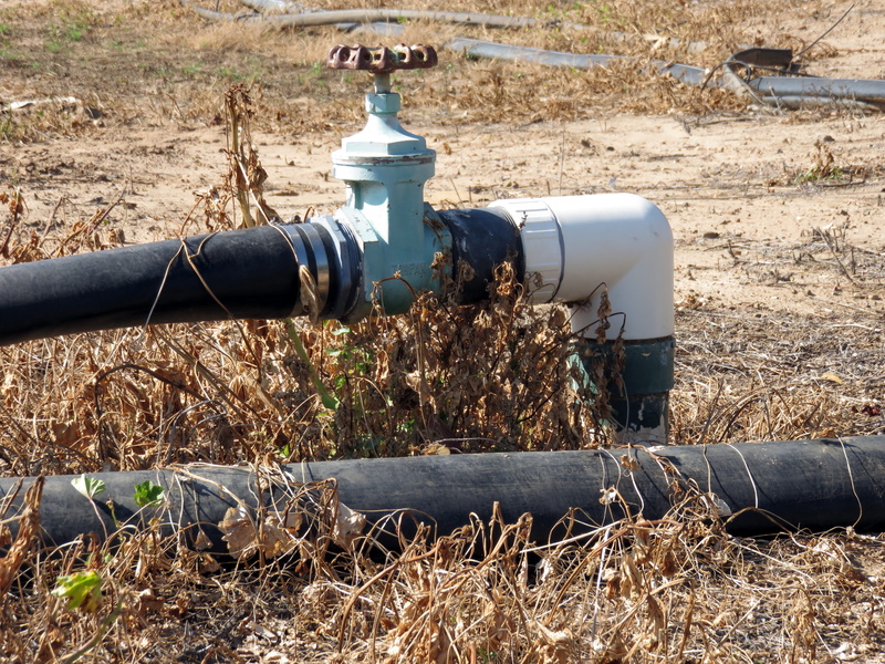 summer, field, water pipe, water, weapon, industry, Spigot, 4K, crisis, nature, no people, connection, flow, day, technology, land, sunlight, save, disaster