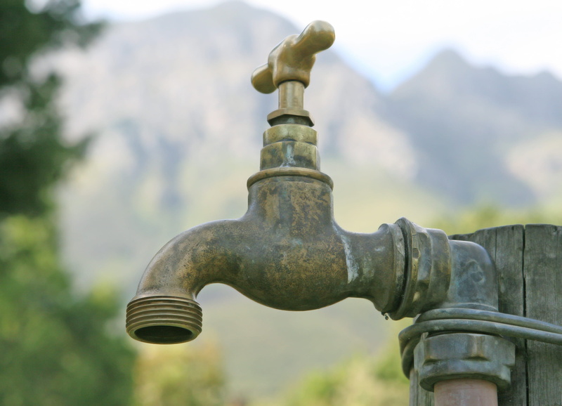 seep, spring, dingy, plant, close-up, summer, wet, old, architecture, hose, 2K, built structure, tree, stopcock, connection, drop, spout, selective, photo