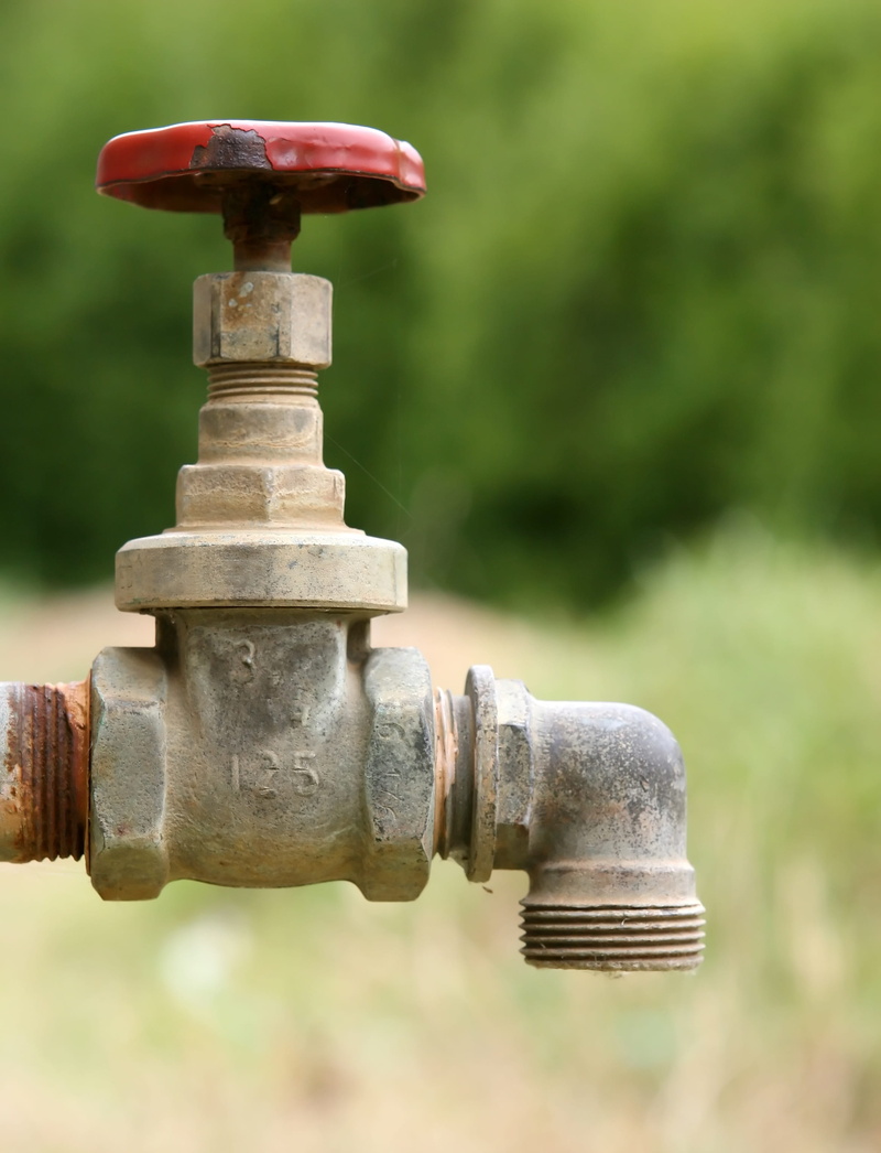 stack, field, wet, equipment, fall, fire hydrant, valve, red, focus on foreground, metal, rusty, shiny, plumb, plant, estate, connector, selective, green color
